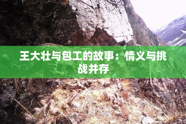 王大壮与包工的故事：情义与挑战并存