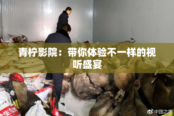 青柠影院：带你体验不一样的视听盛宴