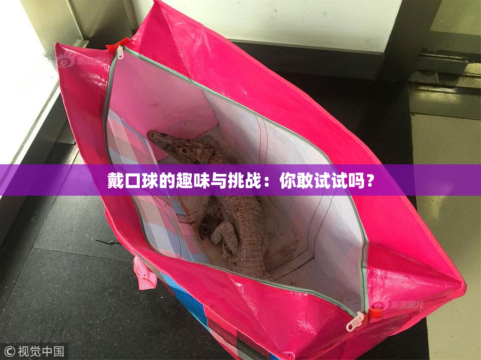 戴口球的趣味与挑战：你敢试试吗？