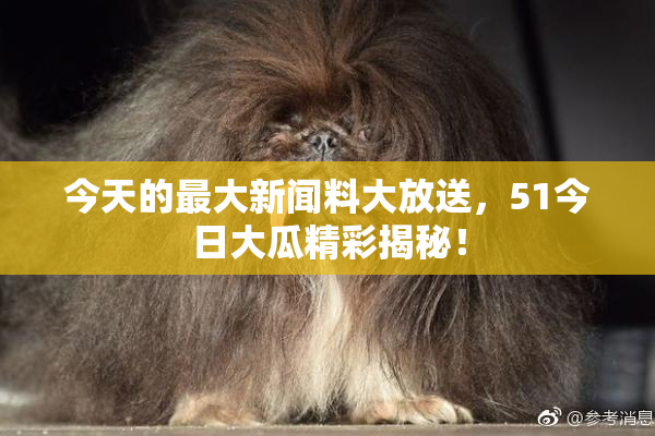 今天的最大新闻料大放送，51今日大瓜精彩揭秘！