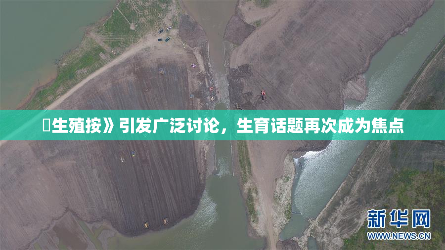 巜生殖按》引发广泛讨论，生育话题再次成为焦点