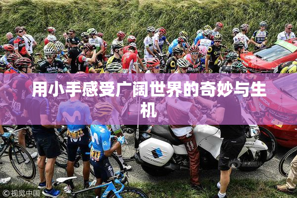 用小手感受广阔世界的奇妙与生机