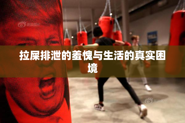 拉屎排泄的羞愧与生活的真实困境