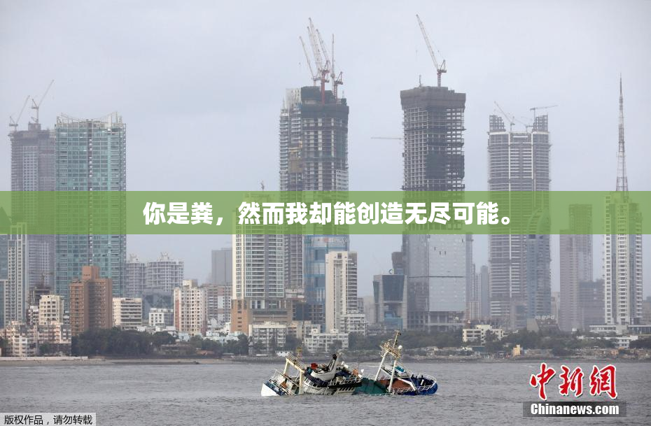 你是粪，然而我却能创造无尽可能。