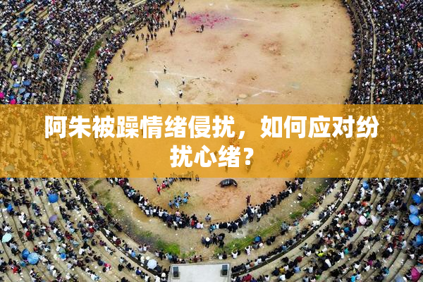 阿朱被躁情绪侵扰，如何应对纷扰心绪？