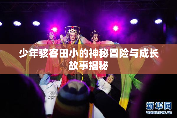 少年骇客田小的神秘冒险与成长故事揭秘