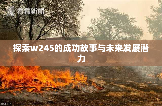 探索w245的成功故事与未来发展潜力