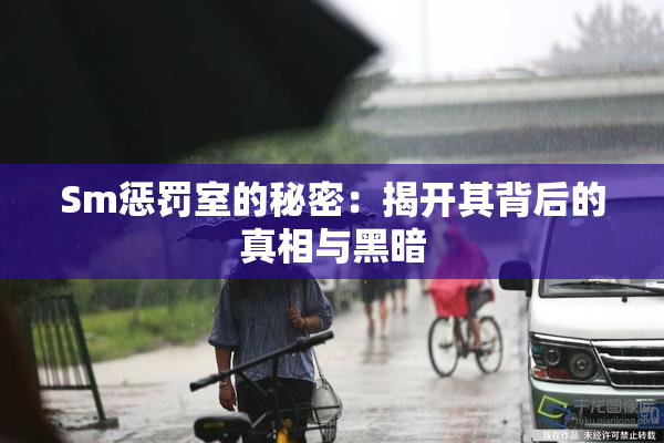 Sm惩罚室的秘密：揭开其背后的真相与黑暗