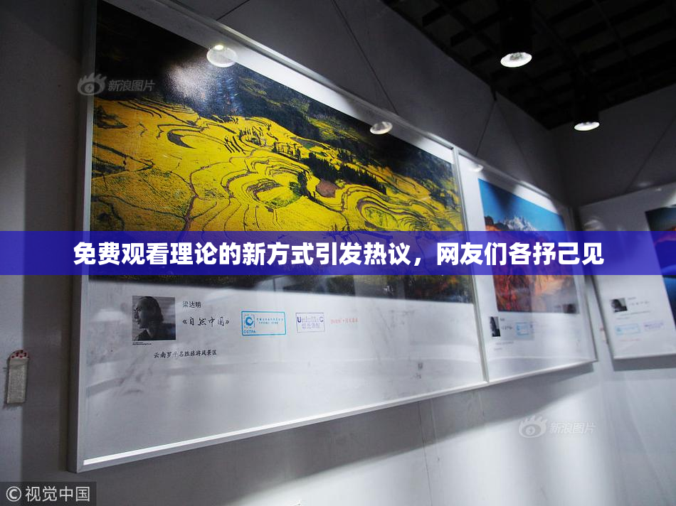 免费观看理论的新方式引发热议，网友们各抒己见