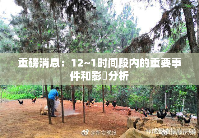 重磅消息：12~1时间段内的重要事件和影響分析