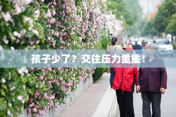 孩子少了？交往压力重重！