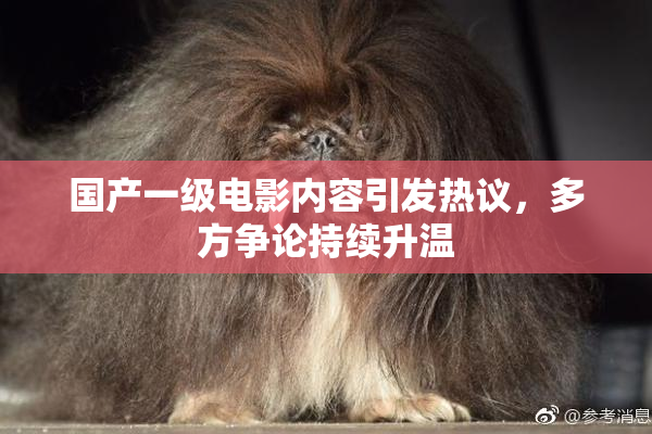 国产一级电影内容引发热议，多方争论持续升温
