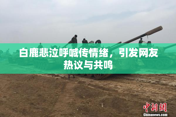白鹿悲泣呼喊传情绪，引发网友热议与共鸣