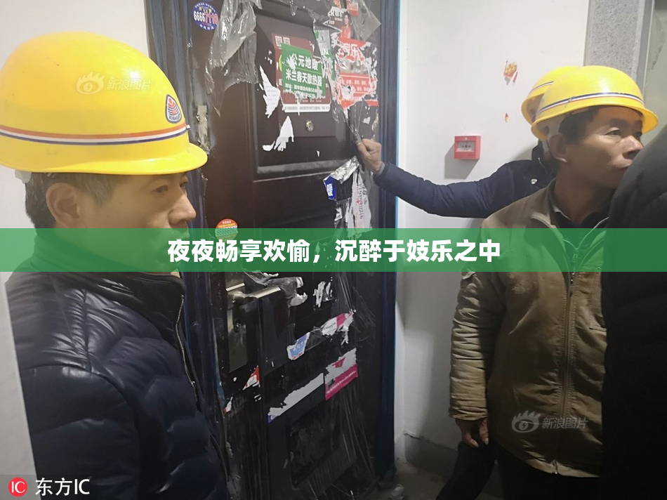 夜夜畅享欢愉，沉醉于妓乐之中