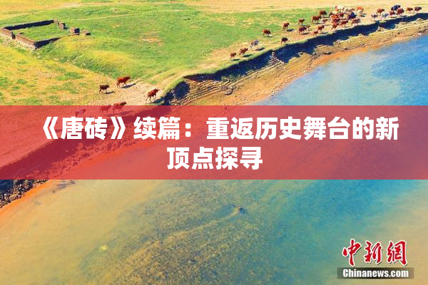 《唐砖》续篇：重返历史舞台的新顶点探寻