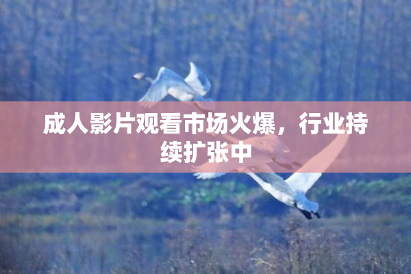 成人影片观看市场火爆，行业持续扩张中