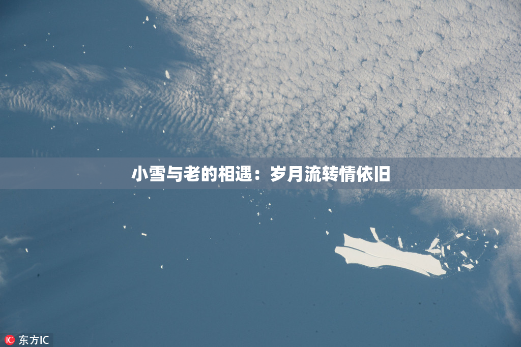 小雪与老的相遇：岁月流转情依旧