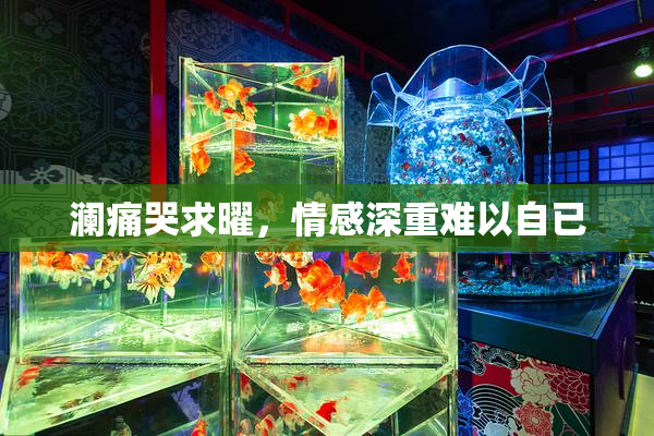 澜痛哭求曜，情感深重难以自已