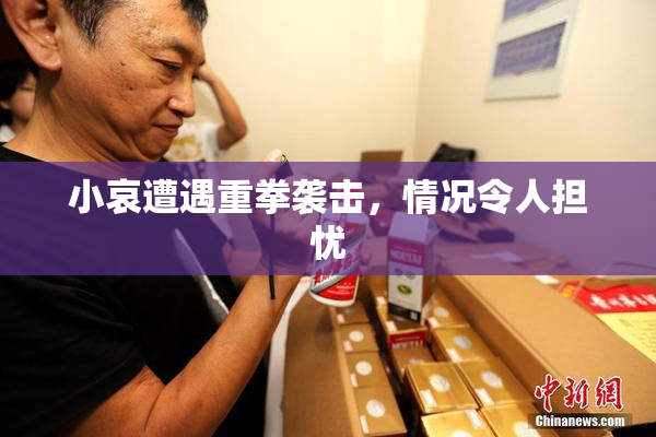 小哀遭遇重拳袭击，情况令人担忧