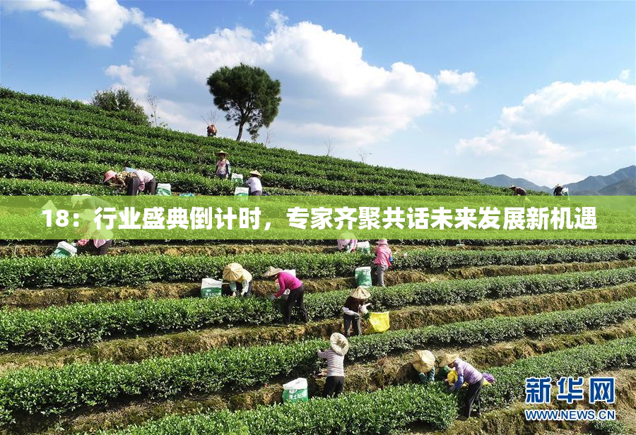 18：行业盛典倒计时，专家齐聚共话未来发展新机遇