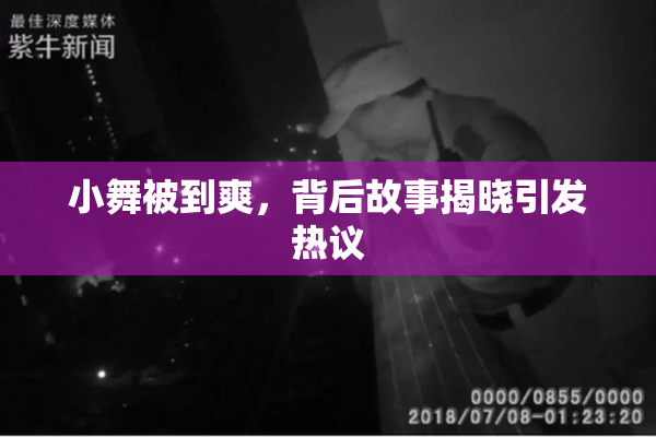 小舞被到爽，背后故事揭晓引发热议