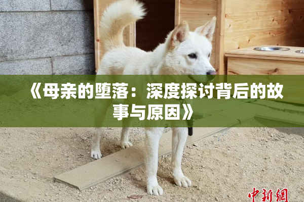 《母亲的堕落：深度探讨背后的故事与原因》