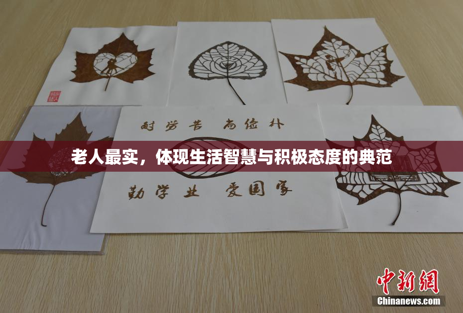 老人最实，体现生活智慧与积极态度的典范