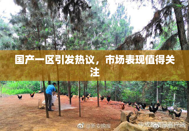 国产一区引发热议，市场表现值得关注