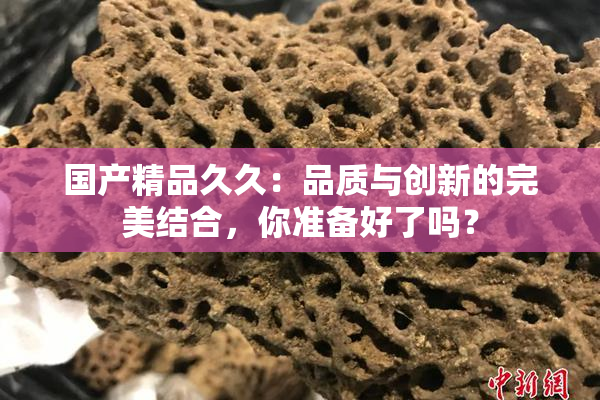 国产精品久久：品质与创新的完美结合，你准备好了吗？