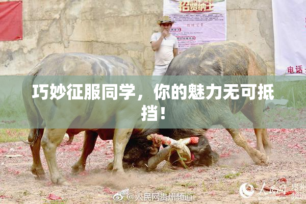 巧妙征服同学，你的魅力无可抵挡！