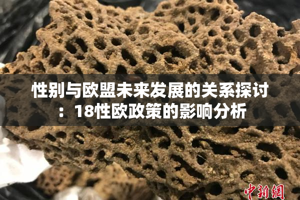 性别与欧盟未来发展的关系探讨：18性欧政策的影响分析