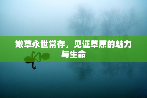 嫩草永世常存，见证草原的魅力与生命