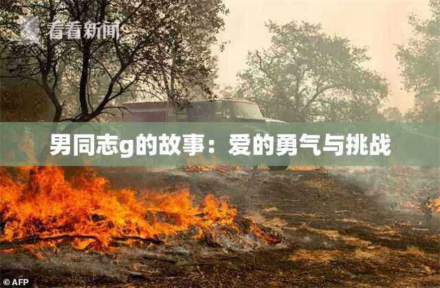 男同志g的故事：爱的勇气与挑战