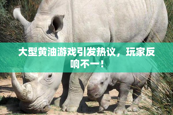 大型黄油游戏引发热议，玩家反响不一！