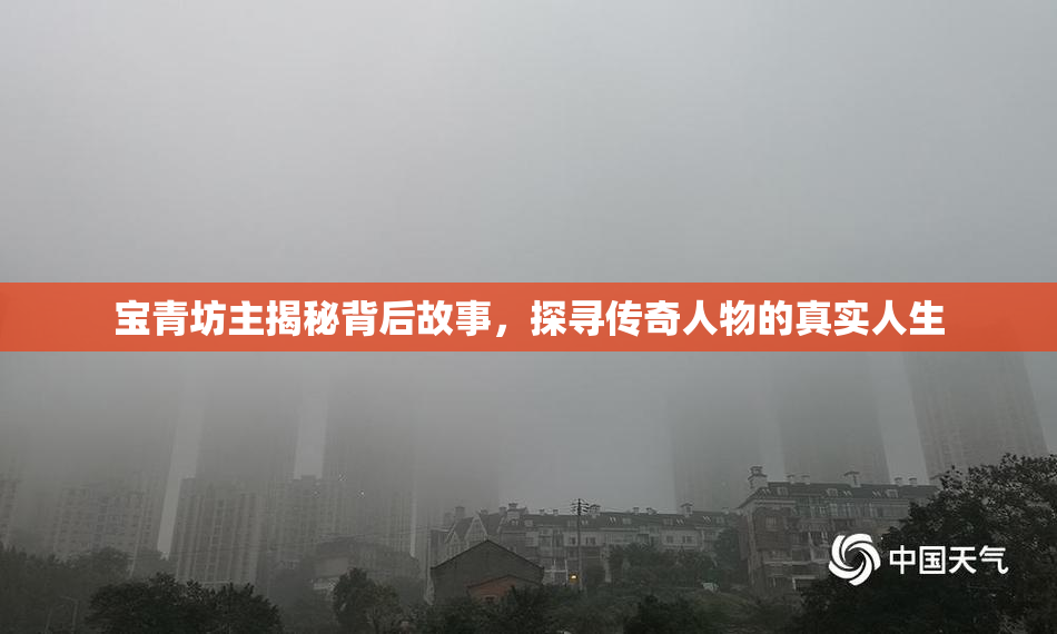 宝青坊主揭秘背后故事，探寻传奇人物的真实人生