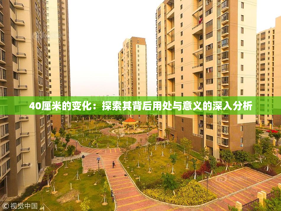 40厘米的变化：探索其背后用处与意义的深入分析