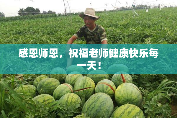 感恩师恩，祝福老师健康快乐每一天！