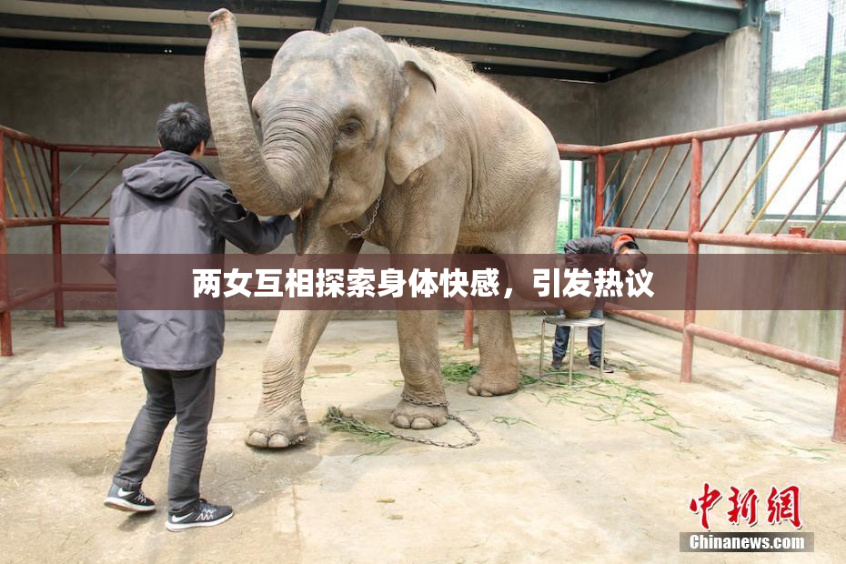 两女互相探索身体快感，引发热议