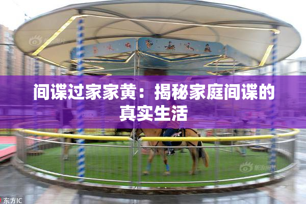 间谍过家家黄：揭秘家庭间谍的真实生活