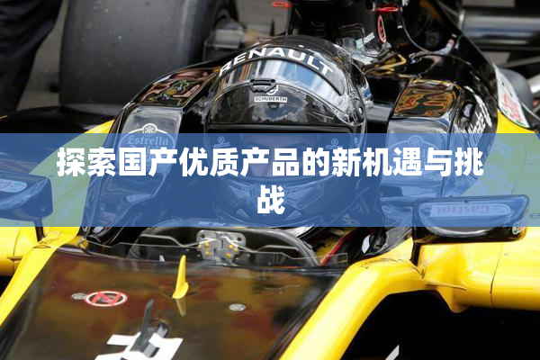 探索国产优质产品的新机遇与挑战
