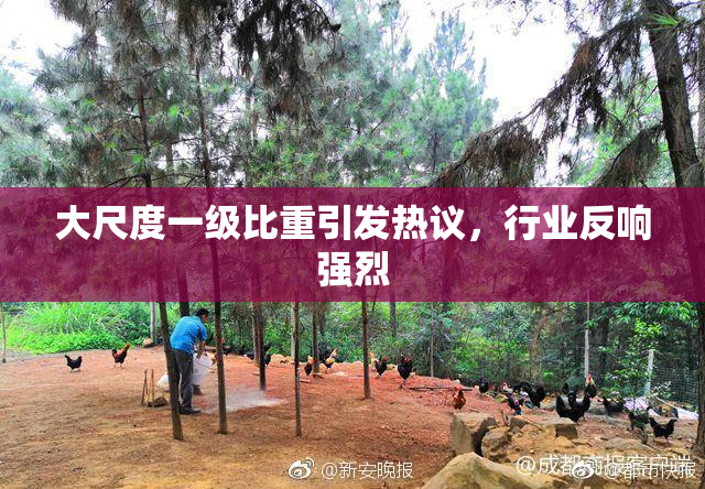 大尺度一级比重引发热议，行业反响强烈