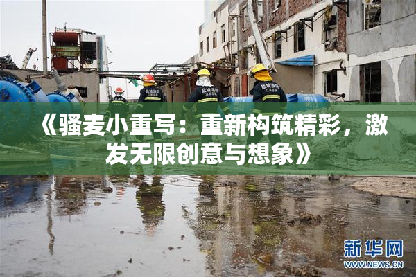 《骚麦小重写：重新构筑精彩，激发无限创意与想象》
