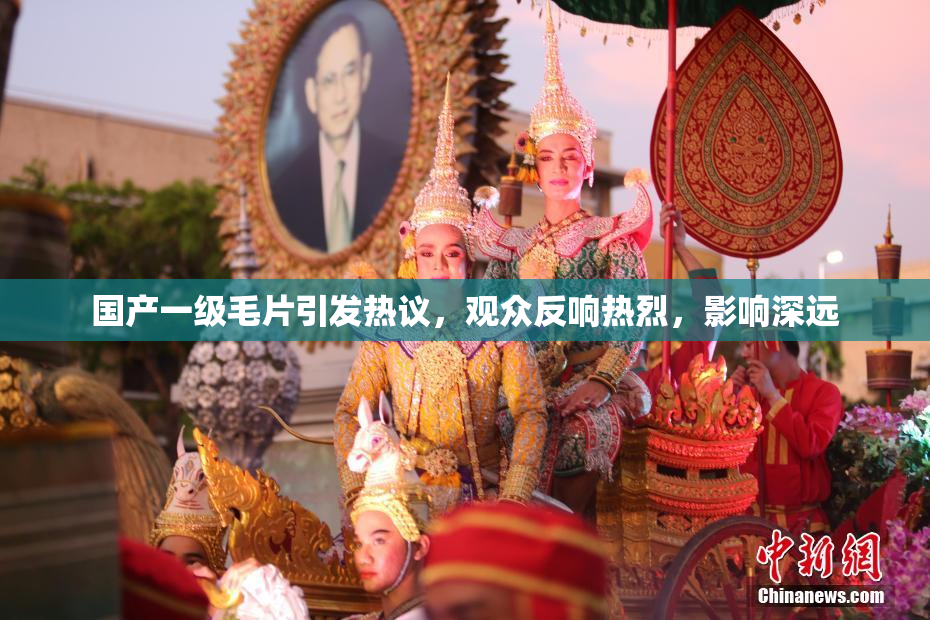 国产一级毛片引发热议，观众反响热烈，影响深远