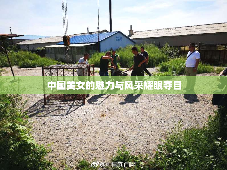 中国美女的魅力与风采耀眼夺目