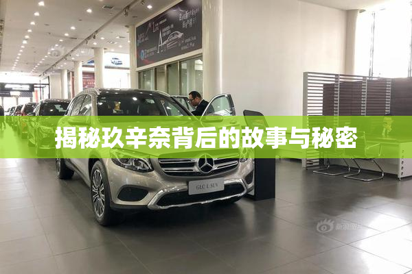 揭秘玖辛奈背后的故事与秘密