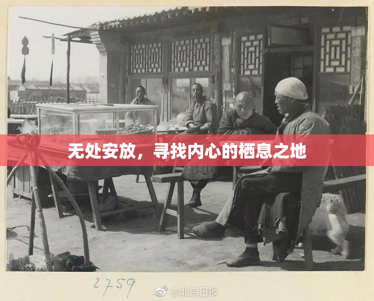 无处安放，寻找内心的栖息之地
