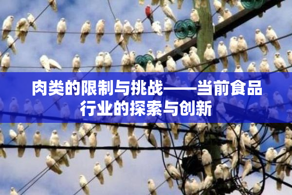 肉类的限制与挑战——当前食品行业的探索与创新