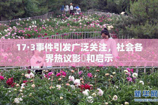 17·3事件引发广泛关注，社会各界热议影響和启示