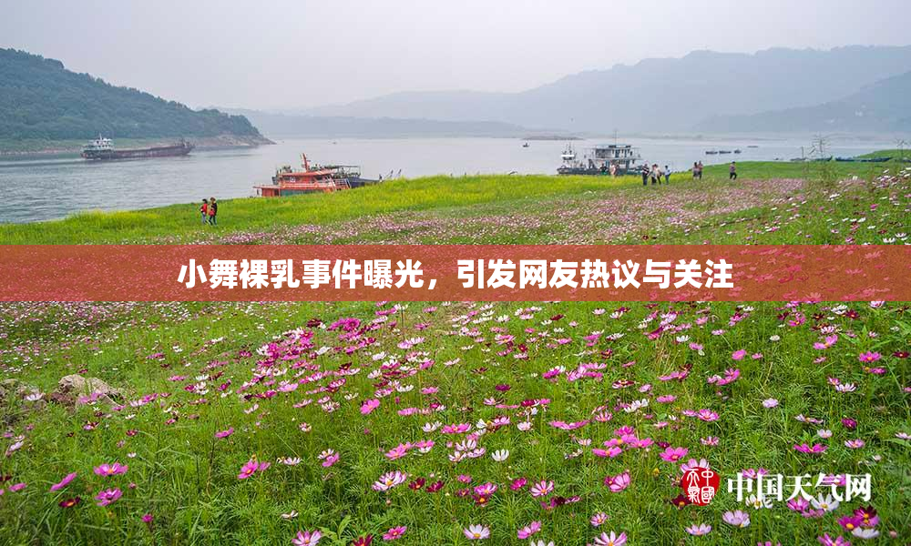 小舞裸乳事件曝光，引发网友热议与关注