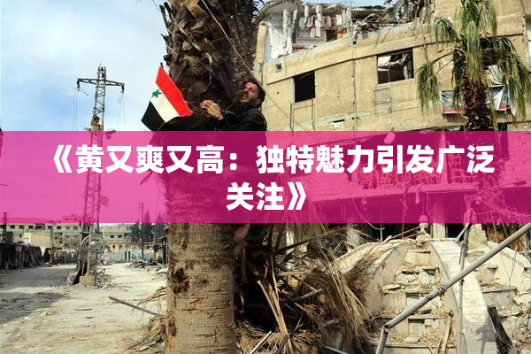 《黄又爽又高：独特魅力引发广泛关注》